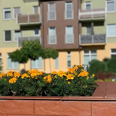Apartament45 * Giżycko